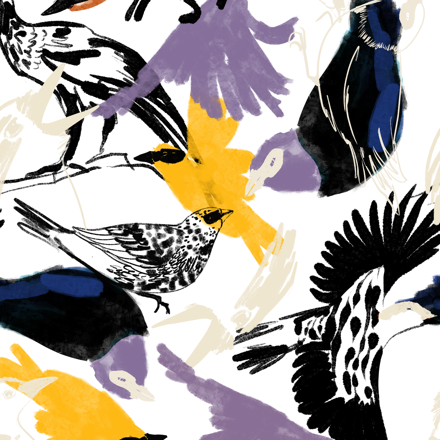 bienteveo_3_2ef3956b-766b-4f0c-a8d3-04984f6249f2.png
